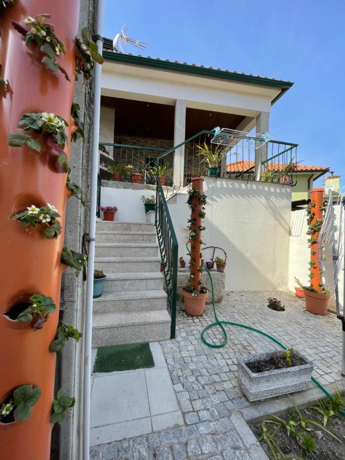 Casa Do Souto - Alojamento Local No Douro Aricera Εξωτερικό φωτογραφία