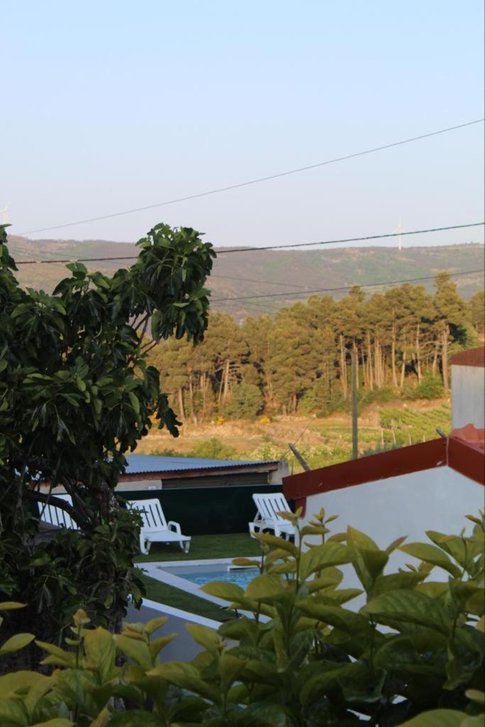 Casa Do Souto - Alojamento Local No Douro Aricera Εξωτερικό φωτογραφία